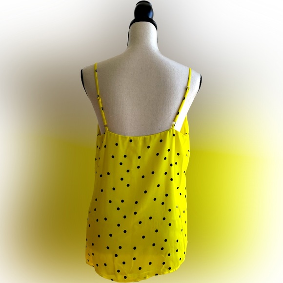 Bumblebee - Picture 2 of 2